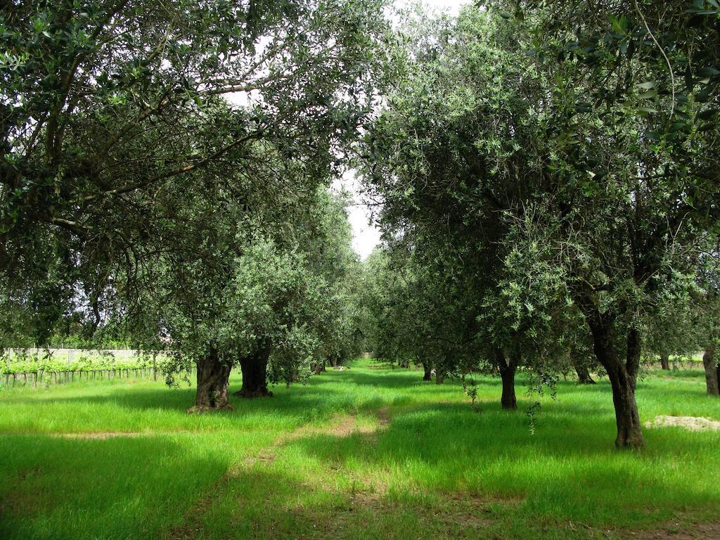 Masseria San Polo Squinzano Екстер'єр фото